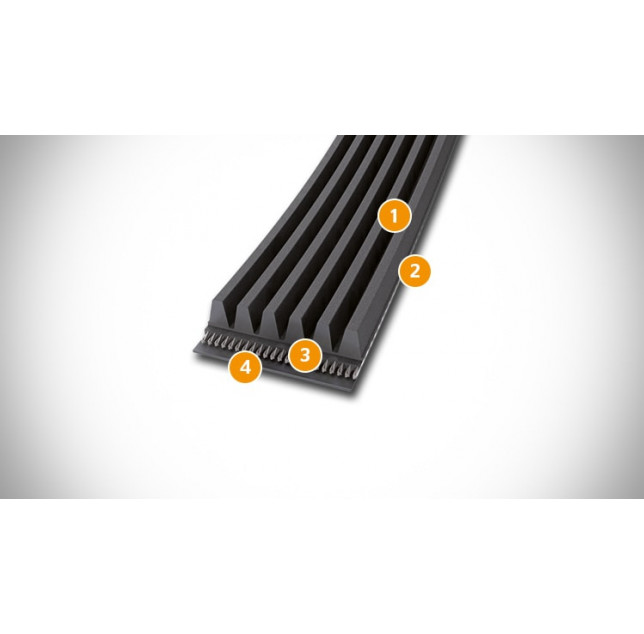Поликлиновые ремни CONTI®V MULTIRIB ELAST